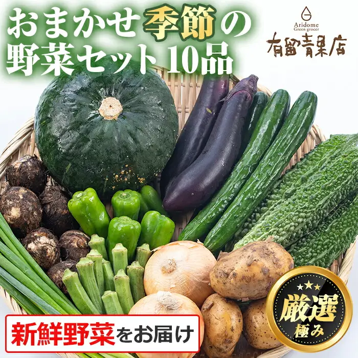 野菜 おまかせ便 (10品) 野菜 セット 詰め合わせ 詰合せ 旬 お野菜 有留青果  0123608a