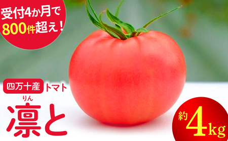 受付4か月で800件超え！四万十産トマト 「凛と」(4kg) ／ Fbg-A003 野菜 新鮮 完熟トマト