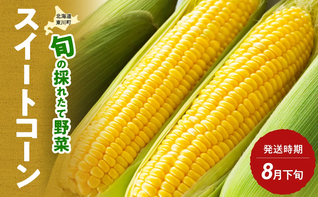 【8月下旬発送】旬の採れたて野菜「スイートコーン」