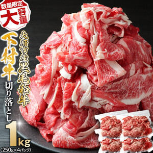 【数量限定・増量中】大府市特産黒毛和牛「下村牛」切り落とし　1.0kg（250g×4パック）