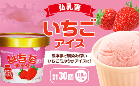 いちごアイス 110ml×30個セット いちご 苺 アイスクリーム スイーツ《30日以内に出荷予定(土日祝除く)》