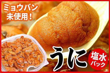 エゾバフンウニ(赤色)塩水パック100g×1P B-07018