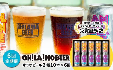 ゴールデンエール＆アンバーエール 10本定期便（6回） クラフトビール