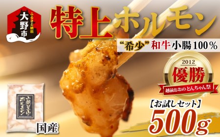 【お試しセット】とんちゃん祭2012年優勝商品！特上ホルモン（和牛小腸100％）（500g×1袋）[A-026003]