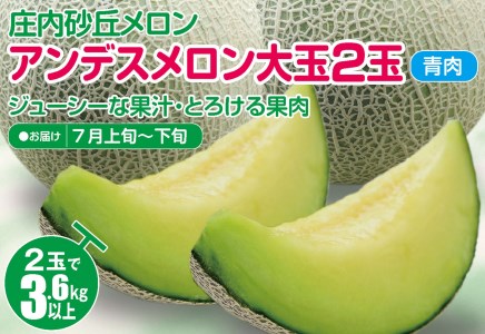 SA2962　庄内砂丘メロン アンデスメロン(青肉) 大玉2玉　計3.6kg以上　つる付き