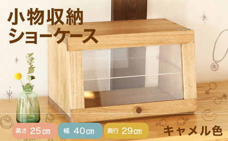 ショーケース（高さ25㎝ 幅40㎝ 奥行29㎝）小物入れ 棚 収納 インテリア【62-19】