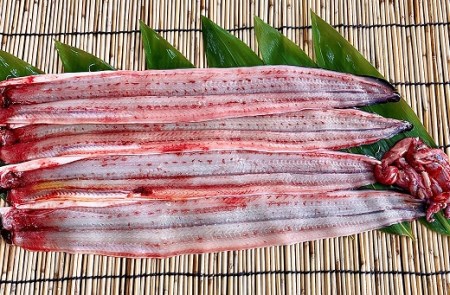 活きを開いてすぐ発送♪生うなぎ開き3～5本(約700g)ご家庭で蒲焼、白焼きに！・K188-20