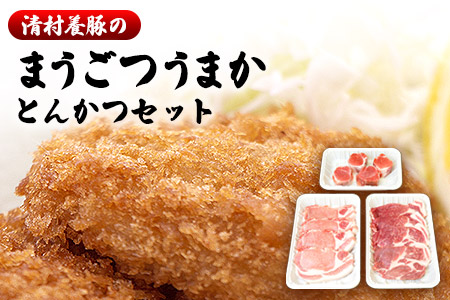 まうごつうまかとんかつセット 1kg 清村養豚《60日以内に出荷予定(土日祝除く)》 ロース ヒレ 肩ロース とんかつ かつ丼 みそかつ 熊本県 御船町