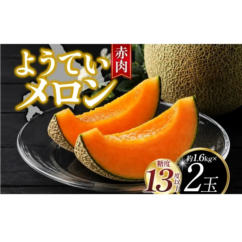 北海道 赤肉メロン 約1.6kg 2玉 メロン 赤肉 果物 フルーツ 甘い 完熟 スイーツ デザート 産直 国産 贈答品 お祝い ギフト羊蹄山 JAようてい