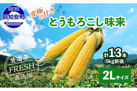 北海道 倶知安町 とうもろこし 味来 みらい 北海道 5kg 2Lサイズ 大きめ 夏野菜 とうきび 旬 新鮮 野菜 トウモロコシ ギフト 産地直送 産直 お取り寄せ 詰め合わせ 送料無料 13本 高糖度 