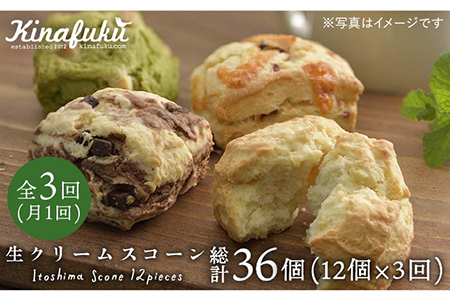 【 全3回 定期便 】 スコーン の イメージ 変えてみませんか？ 定番スコーン 12個 セット 《糸島》【キナフク】焼き菓子 焼菓子 洋菓子 スイーツ パン [AFA013]