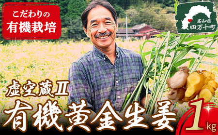 ゆうきのもり生産者こだわりの有機黄金生姜 （1kg） しょうが ショウガ 生姜 黄金しょうが 高知 国産 生姜焼き しょうが湯 レシピ付 魚料理 肉料理 ／Ftf-A01