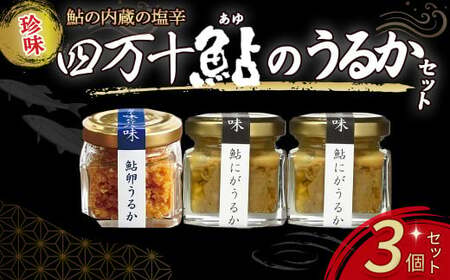 四万十鮎のうるかセット（110g） 塩辛 にがうるか おつまみ 珍味 発酵食品 あゆ 川魚 瓶詰 ／Ess-03