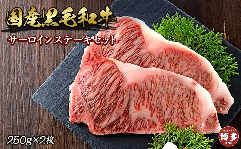 博多和牛サーロインステーキセット 500ｇ（250ｇ×2枚） | 福岡県 福岡市 九州 納税 返礼品 返礼 お取り寄せグルメ グルメ お取り寄せ 博多 サーロイン サーロインステーキ 牛肉 ステーキ 牛 和牛 お肉 肉 博多和牛 ステーキ肉 美味しい肉