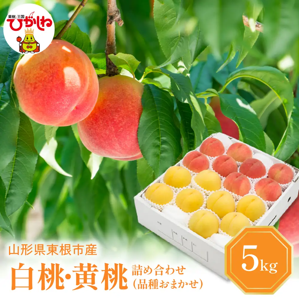 2026年産 白桃 & 黄桃 詰合せ (品種おまかせ) 5kg秀品 桃
