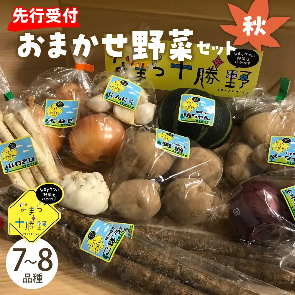 【先行受付】【2026年10月より配送】北海道十勝芽室町 なまら十勝野の季節のおまかせ野菜セット（秋）野菜 やさい おまかせ 詰め合わせ 詰合せ   me001-004c