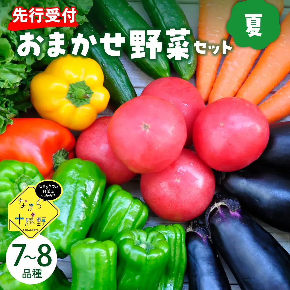 【先行受付】【2026年8月より発送】北海道十勝芽室町 なまら十勝野の季節のおまかせ野菜セット（夏） me001-009c 詰合せ 旬 食品 グルメ 送料無料 冷蔵発送 北海道 十勝 芽室町