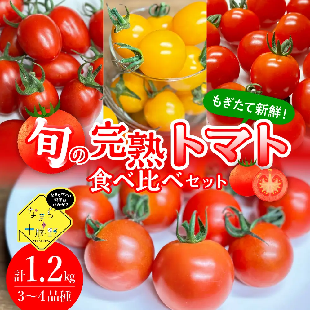 【先行受付】【2026年8月上旬より発送】なまら十勝野の 旬 の 完熟 トマト を3~4品種 詰め合わせた 食べ比べ セット 野菜  北海道産 贈り物 お取り寄せ とまと カラートマト おまかせ アイコ ミックス もぎたて リコピン 新鮮 朝採れ 産地直送 北海道 十勝 芽室町me001-013c
