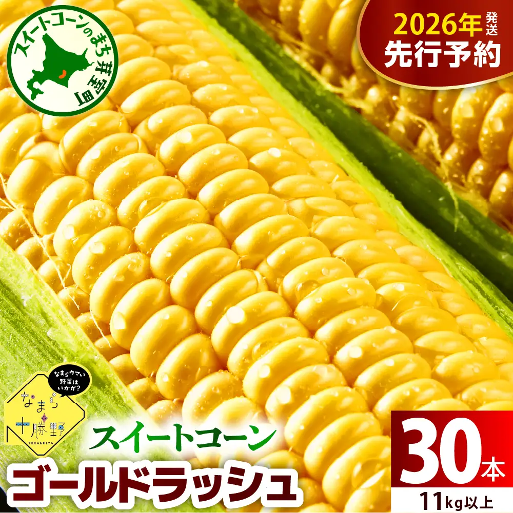 とうもろこし ゴールドラッシュ 30本 11kg以上 トウモロコシ