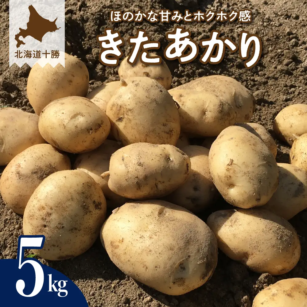 【先行受付】【2026年9月下旬より配送予定】北海道十勝芽室町 じゃがいも きたあかり 5kg ジャガイモ ポテト 芋 いも おいも フライドポテト コロッケ ポテトサラダ じゃがバター 産地直送 新鮮 農協 チーズ 美味しさに 訳あり me002-003-26c