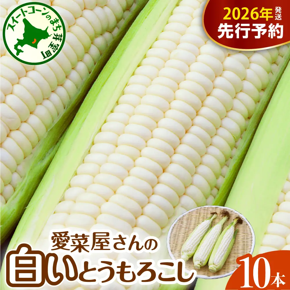 【先行受付】【2026年7月下旬～8月中旬頃配送】北海道十勝芽室町 とうもろこし 10本 ホワイト種とうもろこし トウモロコシ 北海道 十勝 芽室町 生 野菜 人気 キャンプ飯 BBQ ソロキャン お取り寄せ me002-005c-26