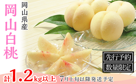 74-03 白桃5～6玉（1.2kg以上）【2026年7月上旬～8月上旬頃発送予定】