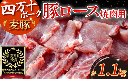 農林水産大臣賞受賞の「四万十ポーク」平野協同畜産の「麦豚」焼き肉用（豚ロース肉1.1kg） 国産 豚ロース スライス しゃぶしゃぶ 豚肉 お肉 冷蔵 ／Ahc-01