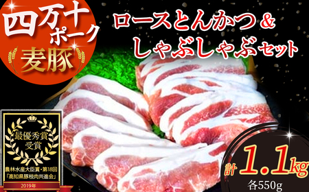農林水産大臣賞獲得の「四万十ポーク」平野協同畜産の「麦豚」ロースとんかつ＆しゃぶしゃぶセット1.1kg 豚カツ 国産 お肉  ポーク 冷蔵 ／Ahc-03