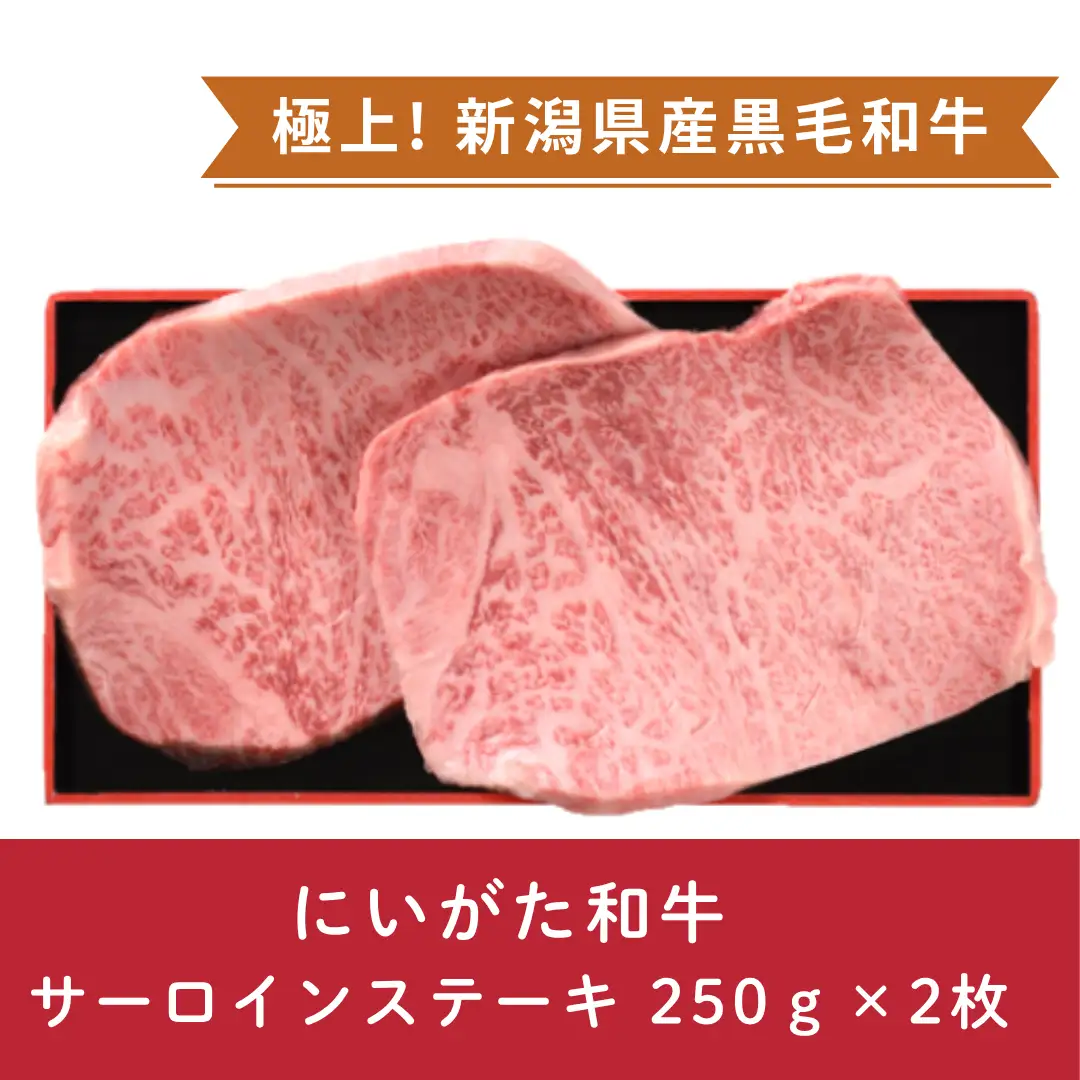 にいがた和牛 サーロインステーキ 250ｇ×2枚 にいがた和牛 黒毛和牛 牛肉 肉 牛 赤身肉 柔らか 上質 国産 ブランド牛 冷凍 化粧箱入 のし 贈答  贈り物 ギフト プレゼント お中元 お歳暮 父の日 母の日 敬老の日 ステーキ 新潟県 阿賀野市 1D20037