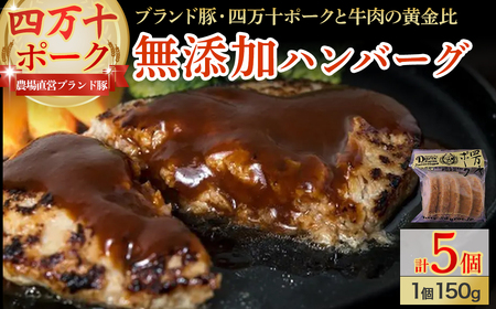 究極の黄金比！安心・無添加ハンバーグ5個セット ／Adf-B14 豚肉 豚肉 豚肉 豚肉 豚肉 豚肉