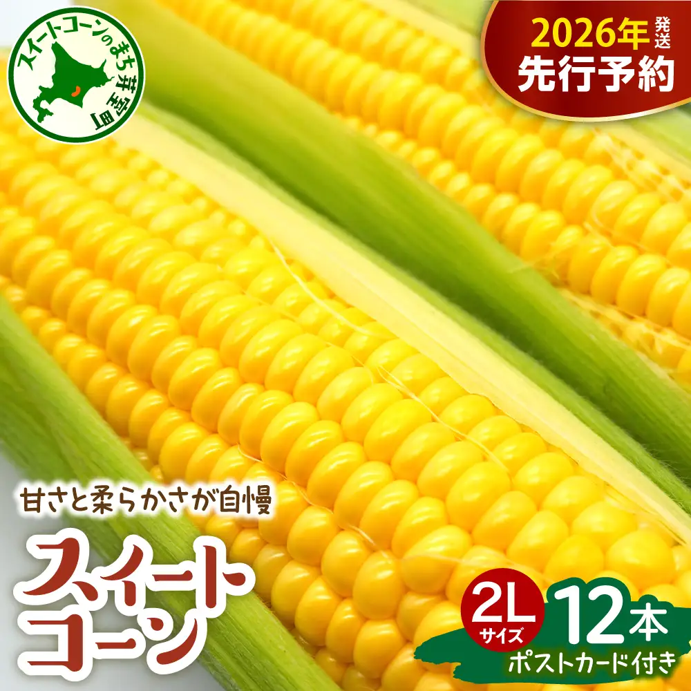 【先行受付】【2026年7月下旬～8月下旬頃配送】北海道十勝芽室町 上美生のたからばこ とうもろこしゴールドラッシュ ２Lサイズ以上12本ポストカード セット  人気 朝採り たっぷり 産地直送 甘い 送料無料 期間限定 数量限定 北海道 十勝 とかち 芽室町 めむろ 上美生 かみびせい お取り寄せ お土産me029-001c-26