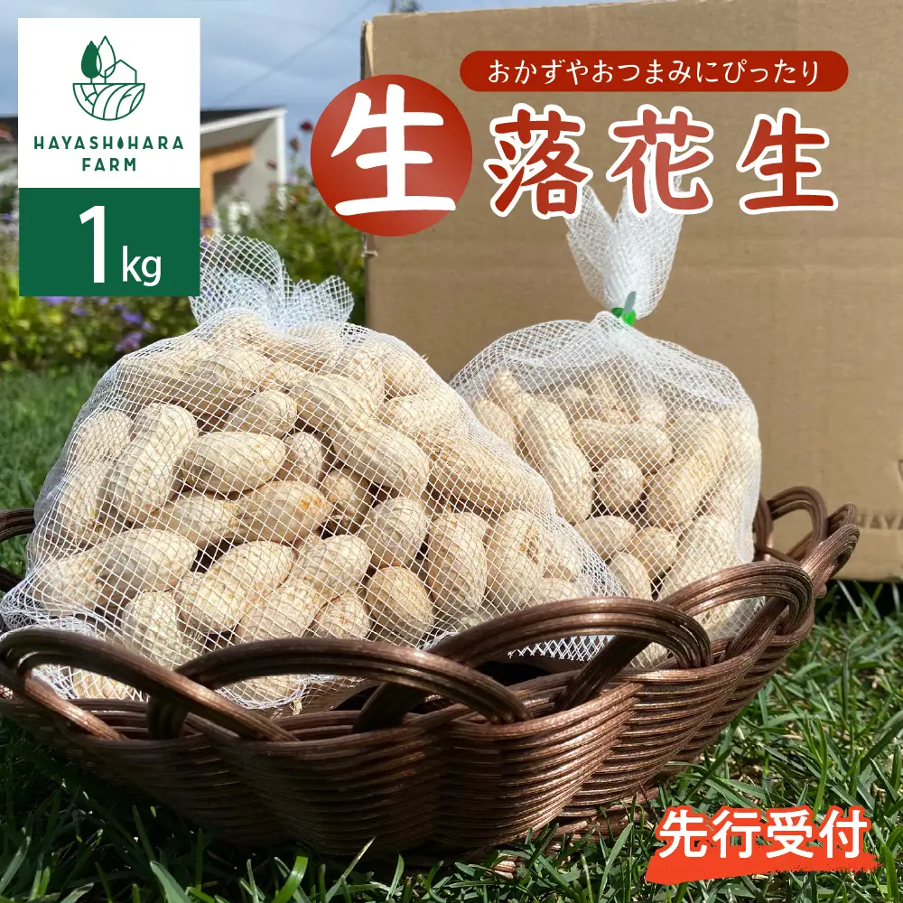 【2026年出荷分】北海道十勝芽室町 生落花生 茹で用 郷の香 1kg ( 500g ×2袋 ) さとのか 大粒 落花生 らっかせい 生らっかせい 生 豆 ピーナッツ ナッツ おやつ おつまみ つまみ おかず 冷蔵 予約 先行受付 秋 旬 国産 北海道十勝芽室町 me028-003c-26