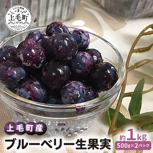 【叶え屋】 上毛町産 ブルーベリー 生果実 500g×2パック_K01401