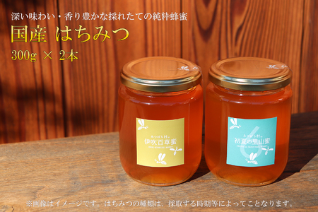 国産はちみつ300g 2本セット