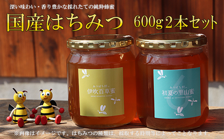 国産はちみつ600g2本セット 2025/9/19～