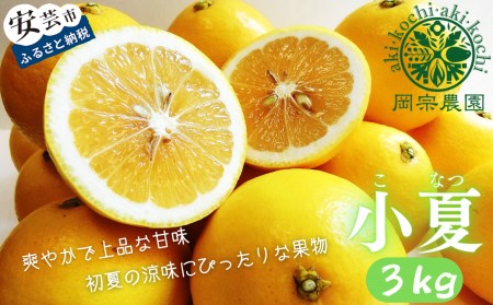 【2026年出荷分】小夏 (日向夏)  小夏 3kg |  期間 数量 限定 旬 人気 果物 くだもの 柑橘 フルーツ みかん ジュース 高知県 安芸市