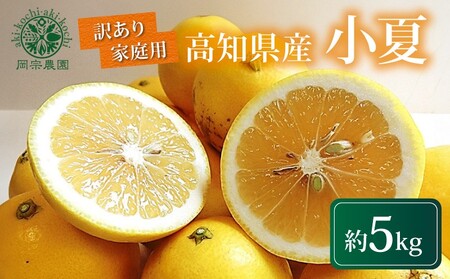 訳あり小夏 (日向夏) 5kg【小夏】