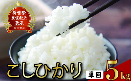 コシヒカリ 米 5kg こしひかり 令和7年産 精米 AS011
