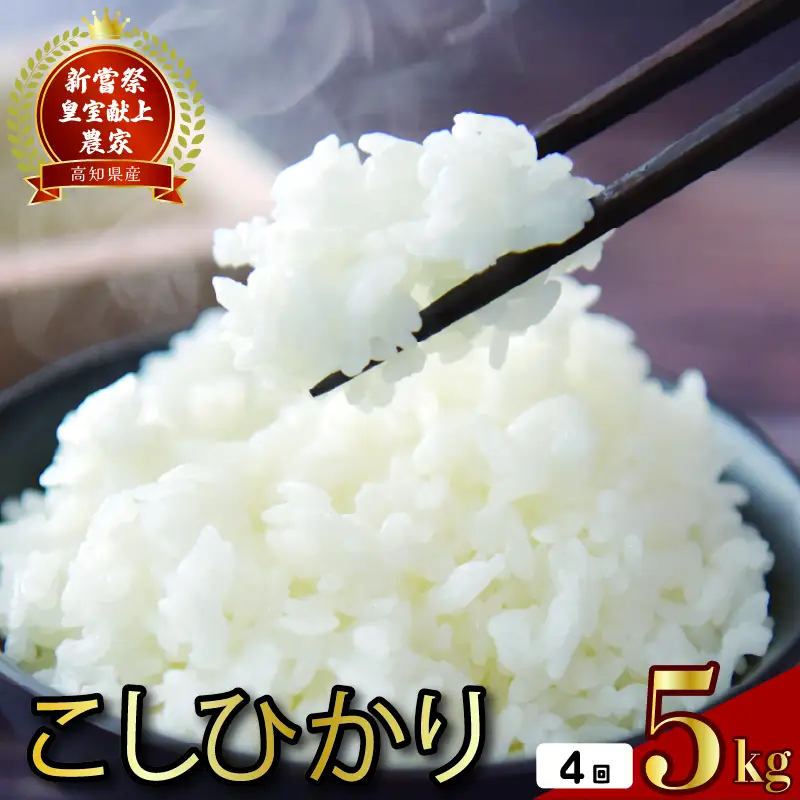 【こしひかり】5kg×4回 こしひかり 米 令和7年産