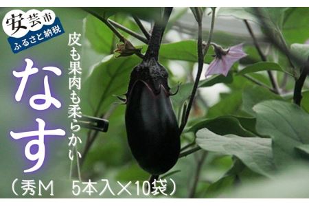 ナス 秀M5本入×10袋 高知県安芸市｜ナス AE002
