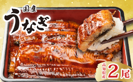 国産うなぎ蒲焼 2尾（約170g×2）