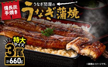 【 土用の丑の日特集 】 1745-1 うなぎ問屋 の 備長炭手焼 うなぎ蒲焼 特大 3尾 660g KN029-001-08 魚 冷凍 鰻