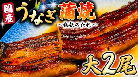 国産 うなぎ 蒲焼 大サイズ 2尾 【 日本料理 ひたち野いしざき 秘伝 の たれ焼き 】