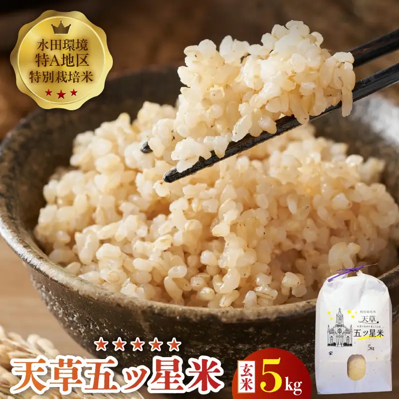 S061-010A_令和8年産 特別栽培米 天草五ッ星米 玄米 5kg【先行受付】