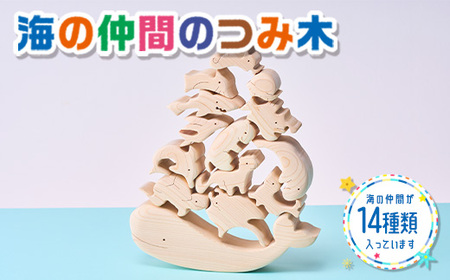 木工パズル 海の仲間のつみ木 立体 子供 動物 おおさか河内材 ヒノキ