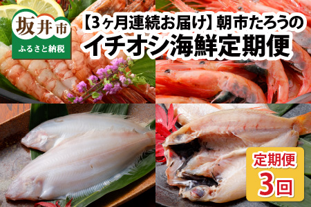 【3ヶ月連続お届け】朝市たろうのイチオシ海鮮定期便 [C-12301]