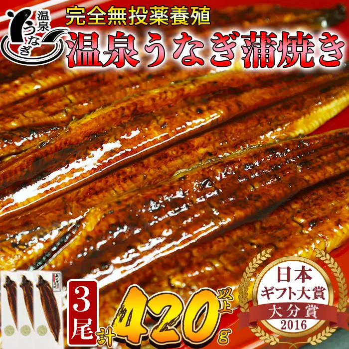 温泉うなぎ 蒲焼 3尾（140gサイズ）【大分水産】 国産 完全無投薬 うなぎ 九州 大分県 うな丼 うな重 冷凍 鰻 ギフト 受賞 土用の丑の日 スタミナ 夏バテ ＜104-008＞