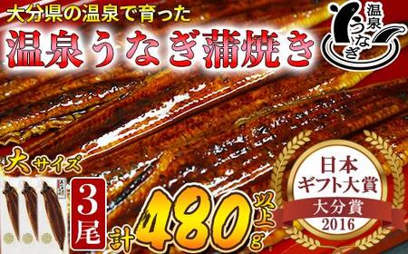温泉うなぎ蒲焼 3尾（160gサイズ） 国産 九州 うな丼 うな重 鰻 完全無投薬 ギフト 土用の丑の日 ＜104-012＞