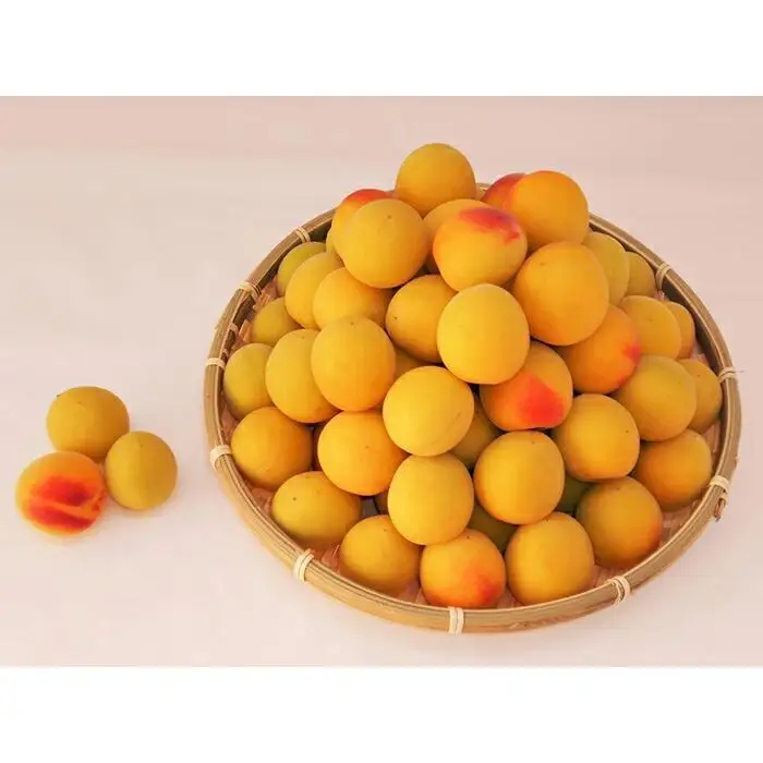 ［梅干づくり用］紀州南高梅2kg（2Lサイズ）