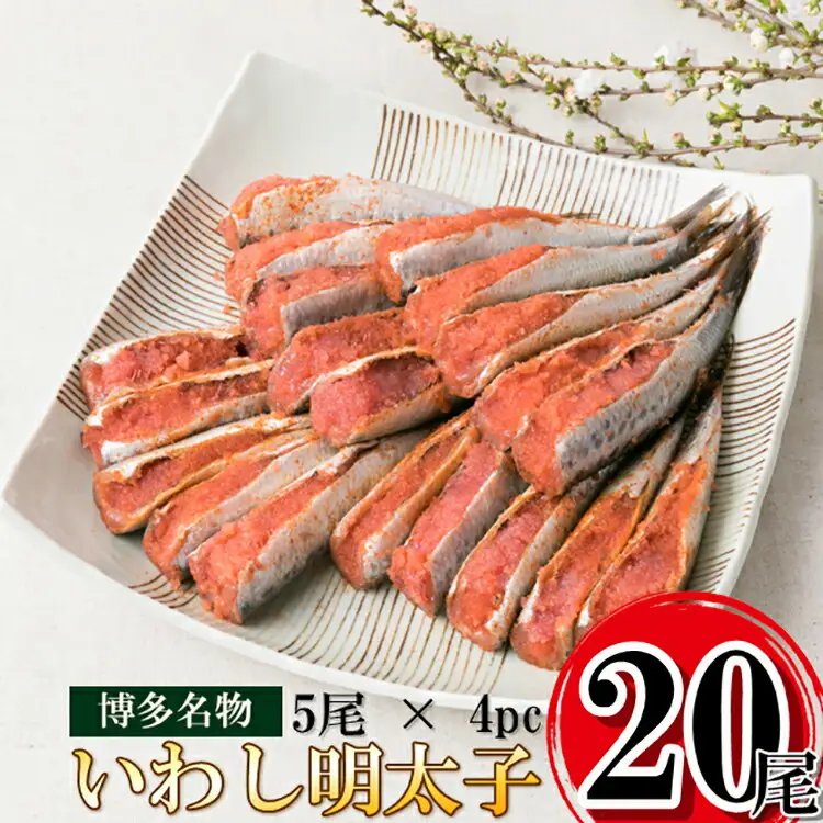 いわし 明太子 20尾(5尾 4pc) 真いわし 辛子 明太子 化粧箱入 [博多漁師の里 福岡県 筑紫野市 21760129]
